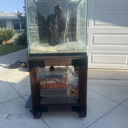 60 Gallon Aquarium Setup - Complete w/ Stand, Filter, Lights & More