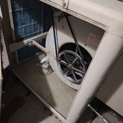Swamp Cooler 