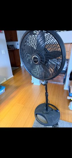 Lasso black pedestal fan