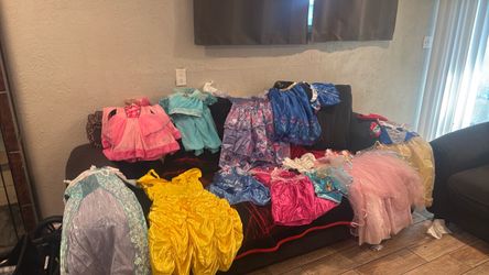 Disney princess dress or costume