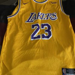 2 Lebron James Jerseys