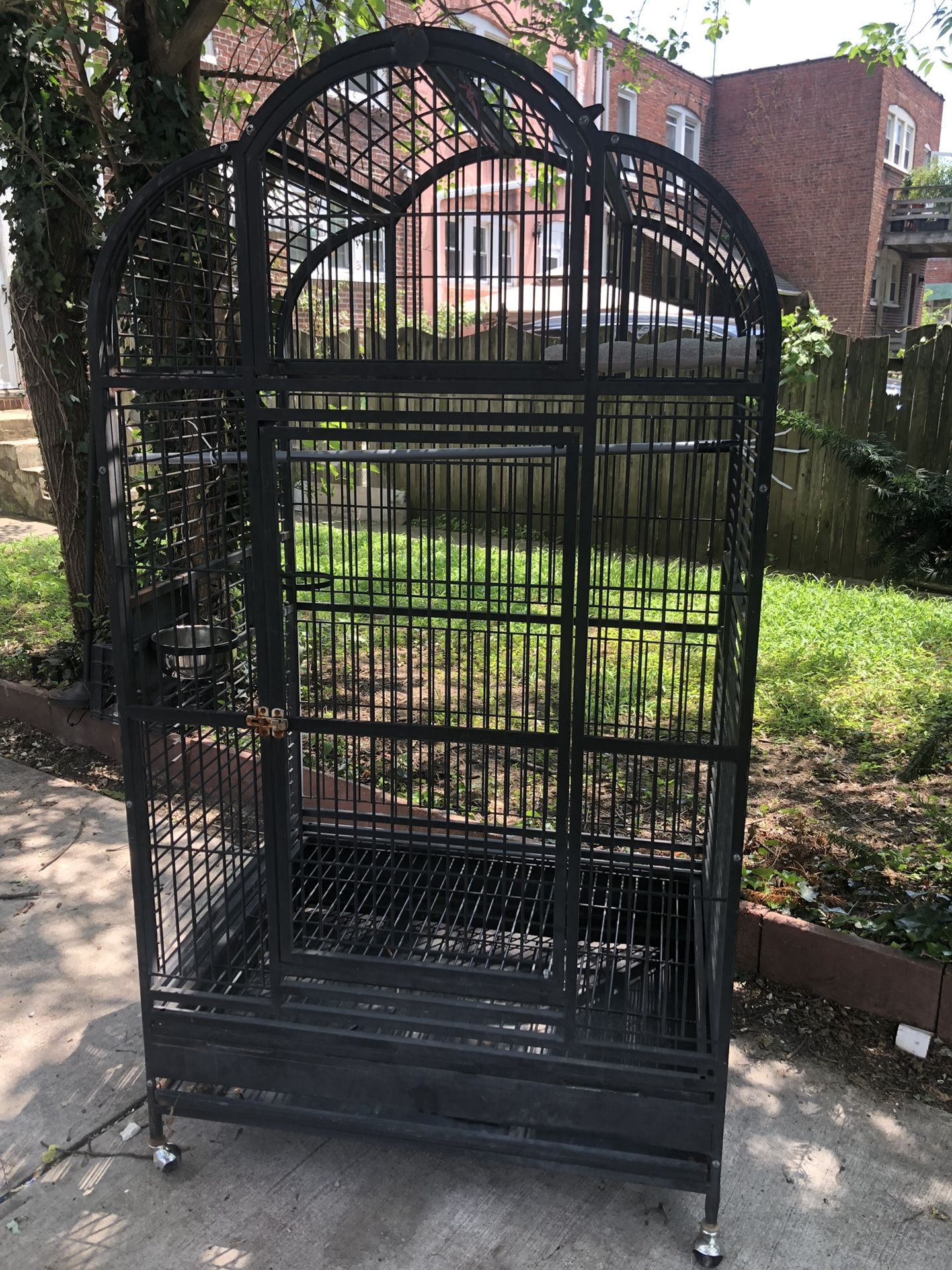 Bird Cage