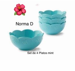 Set de 4 platos para sopa nuevos en su caja 🌺 princess house 🌺