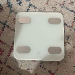 GAIAM Weight Scale