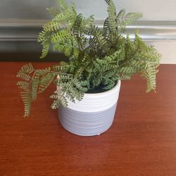 Cute Faux Succulent Plant Grey And White Pot 