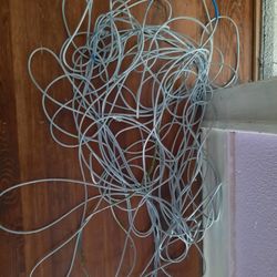 Land Cable 100ft