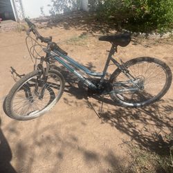 Roadmaster Bicycle