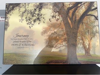 For I Know the Plans Wall Art