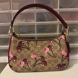 Coach Teri Cherry Bag