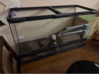Tank got Reptiles