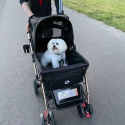 Dog Stroller (Pup Stays), OBO
