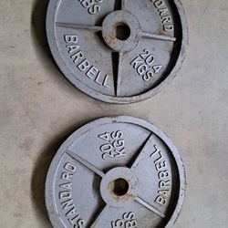 Olympic Weights 45lb 