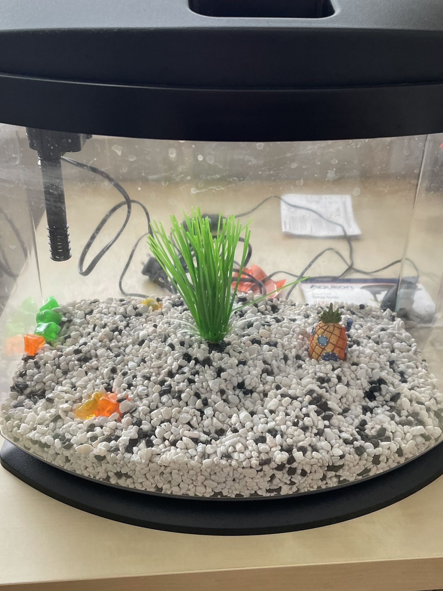 Aqueon Desktop Fish tank
