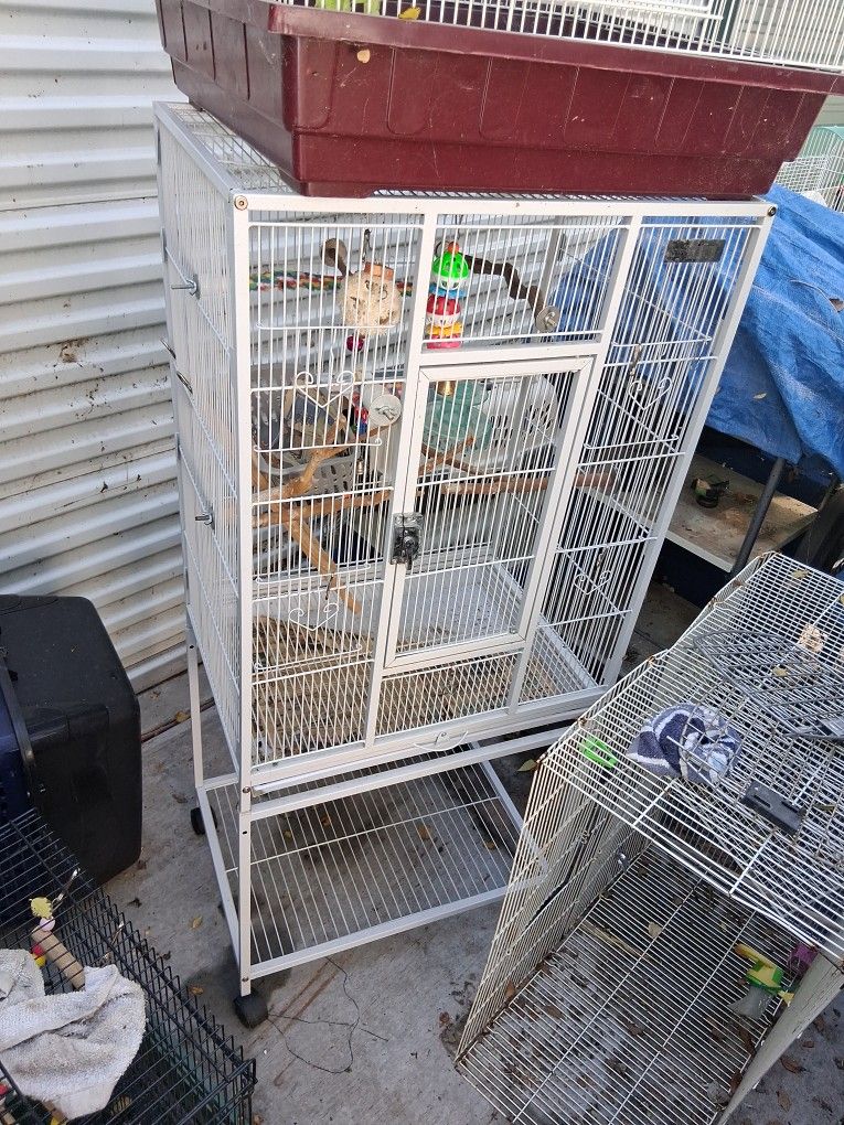 Bird Cage
