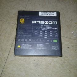 Gigabyte P750gm Power Supply