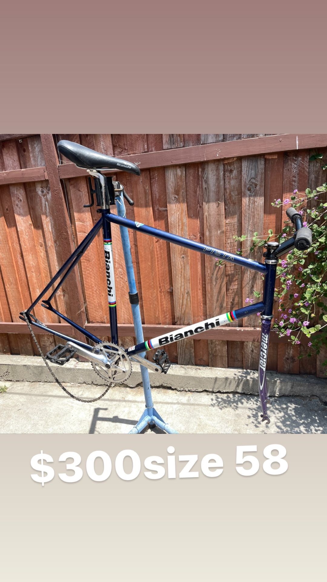 Bianchi Pista 58cm Complete