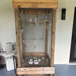Bird Cage 