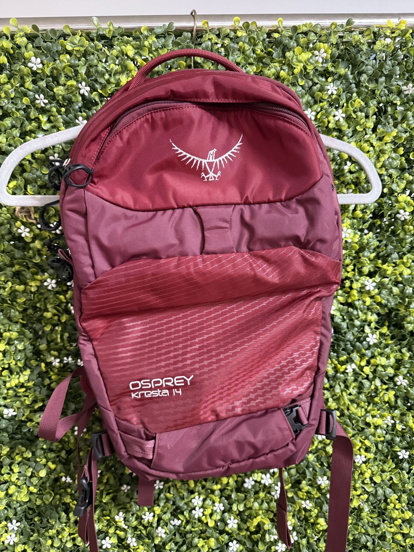 Osprey Backpack