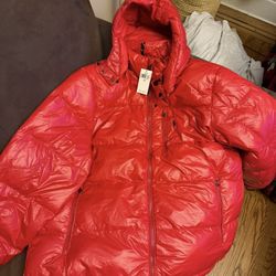 Polo Ralph Lauren Brand New Jacket Size 2lt. Retail Is $398.00…..asking $150 Cash. Will Meetup