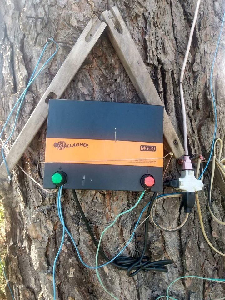 Gallagher Fence Energizer M600 And M800
