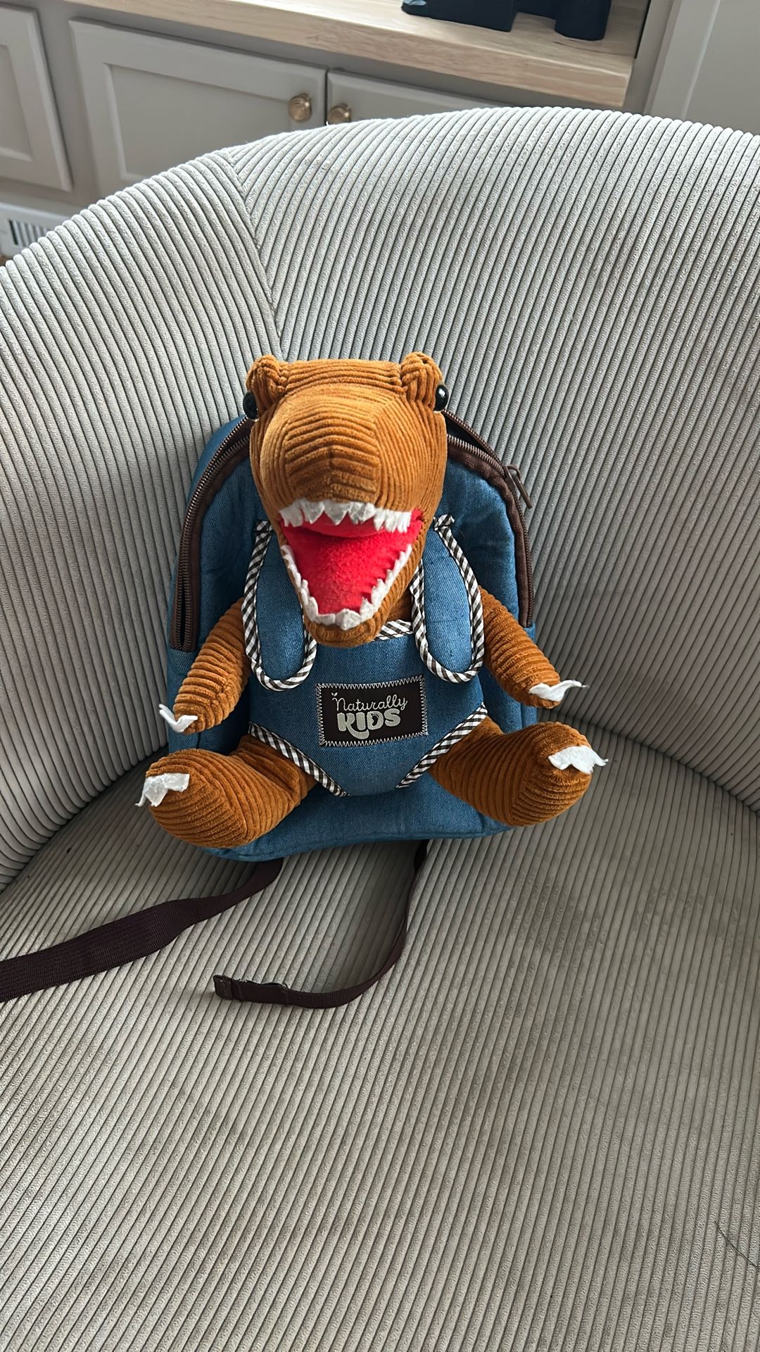 Toddler Backpack With Removable Stuffie