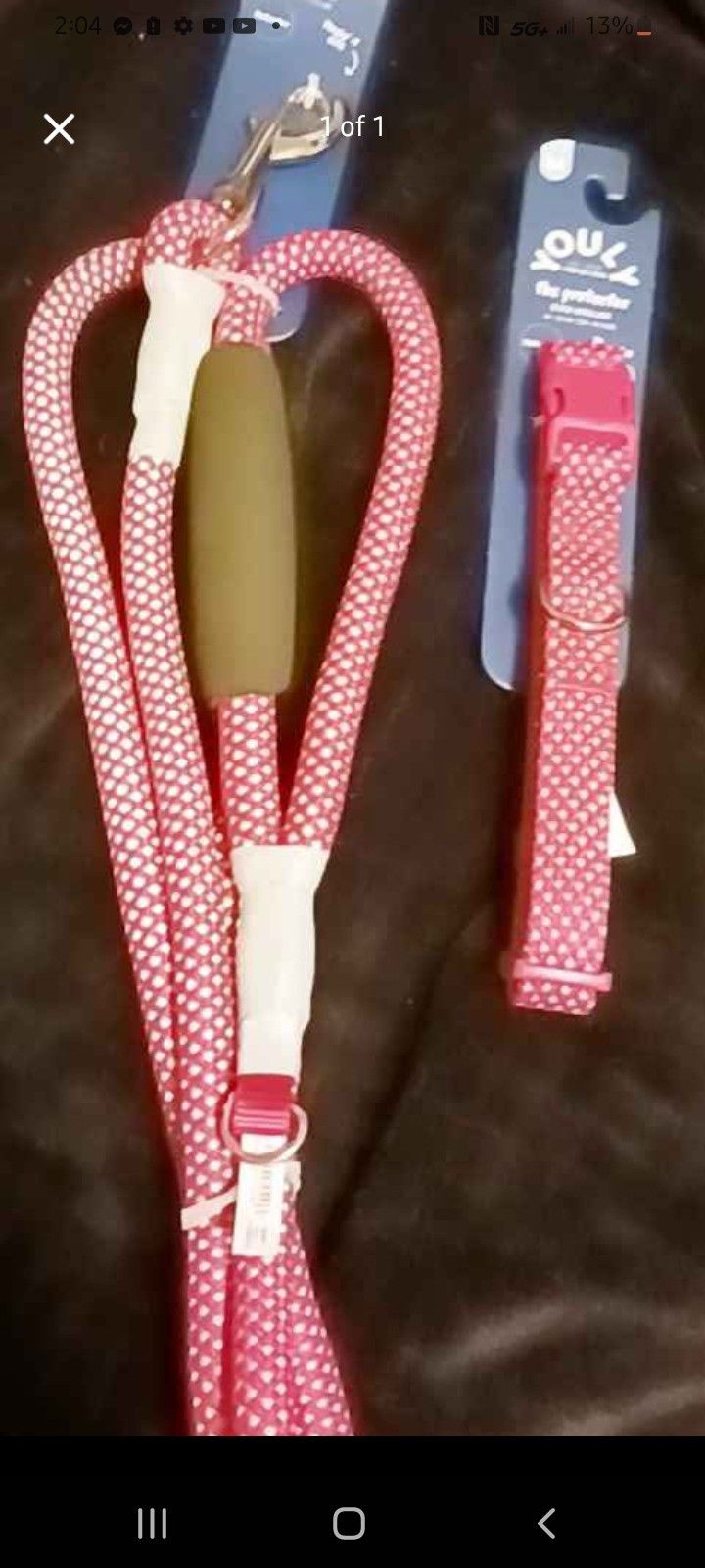 Dog Leash And Collar