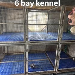 6 Bay Kennel Galvanized Metal 