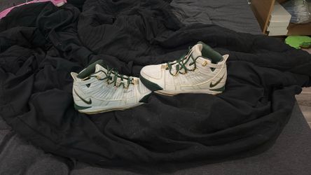 Nike LeBron