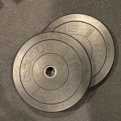 Rogue Fitness Pair Of 25 Lb Olympic Rubber Bumper Weight Plates