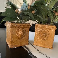 Small Lion Pots With Plant 