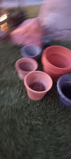 Mixed Lot of Used Plant Pots