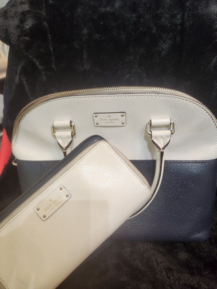 Kate Spade Purse And Wallet 