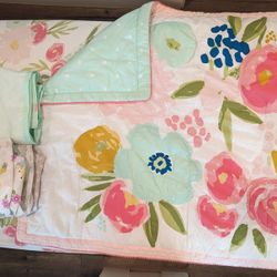 Cloud Island Crib Bedding