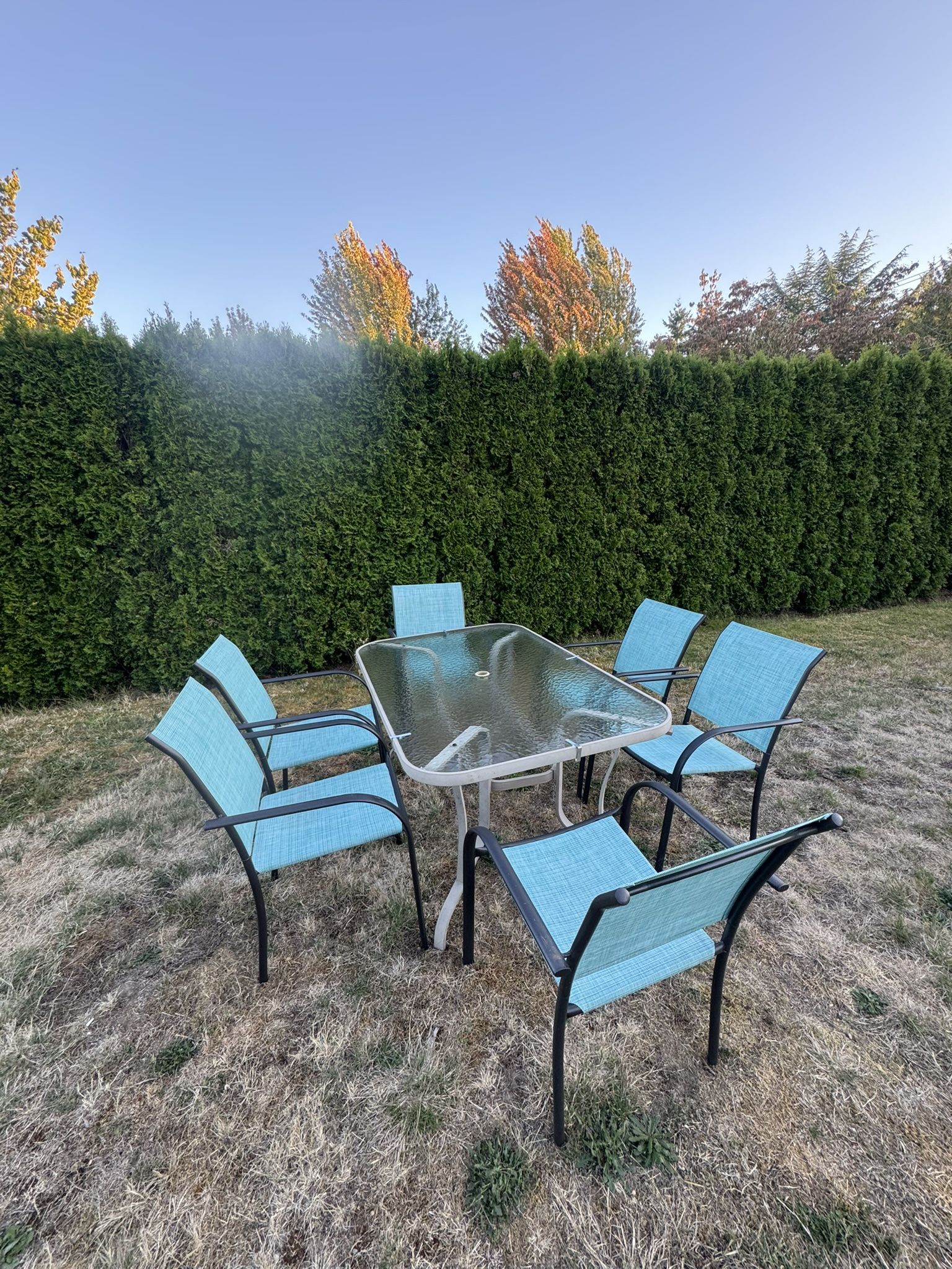 Patio Set-6 Chairs/1 Table