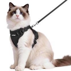 Harness And Leash Medium 