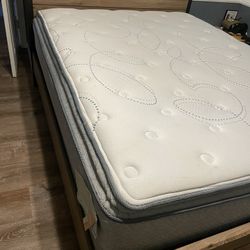 Queen Size Sealy Mattress 