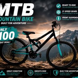 Mountain Bike