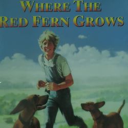 Where The Red Fern Grows DVD 