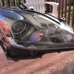 Headlight For 2006 2007 2008 Lexus IS250 Right With Wiring Harness