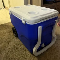 Blue Coleman Cooler