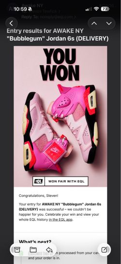Awake NY Air Jordan 6 Retro Bubblegum Sz 11