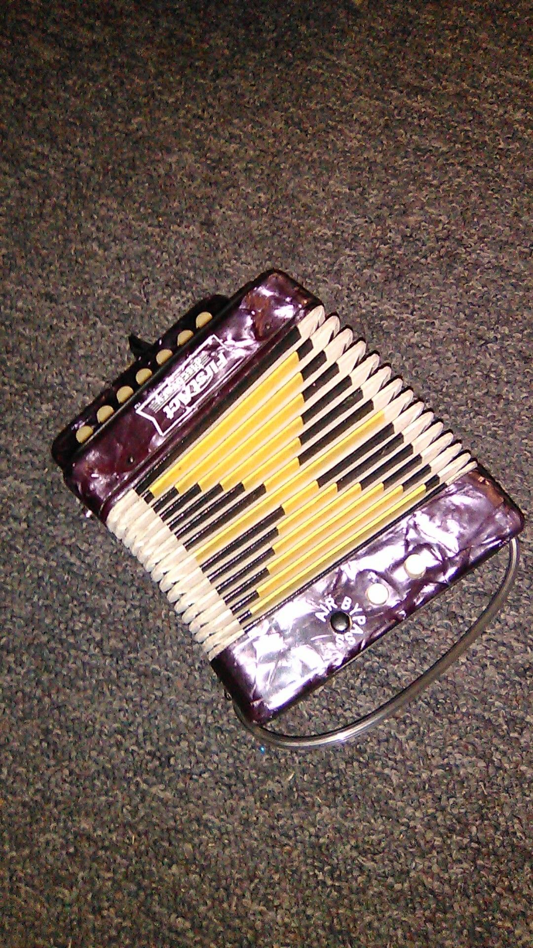 Discovery acordeon