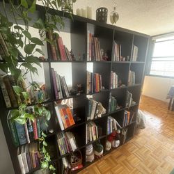 5x5 Book Shelf / Storage Shelf