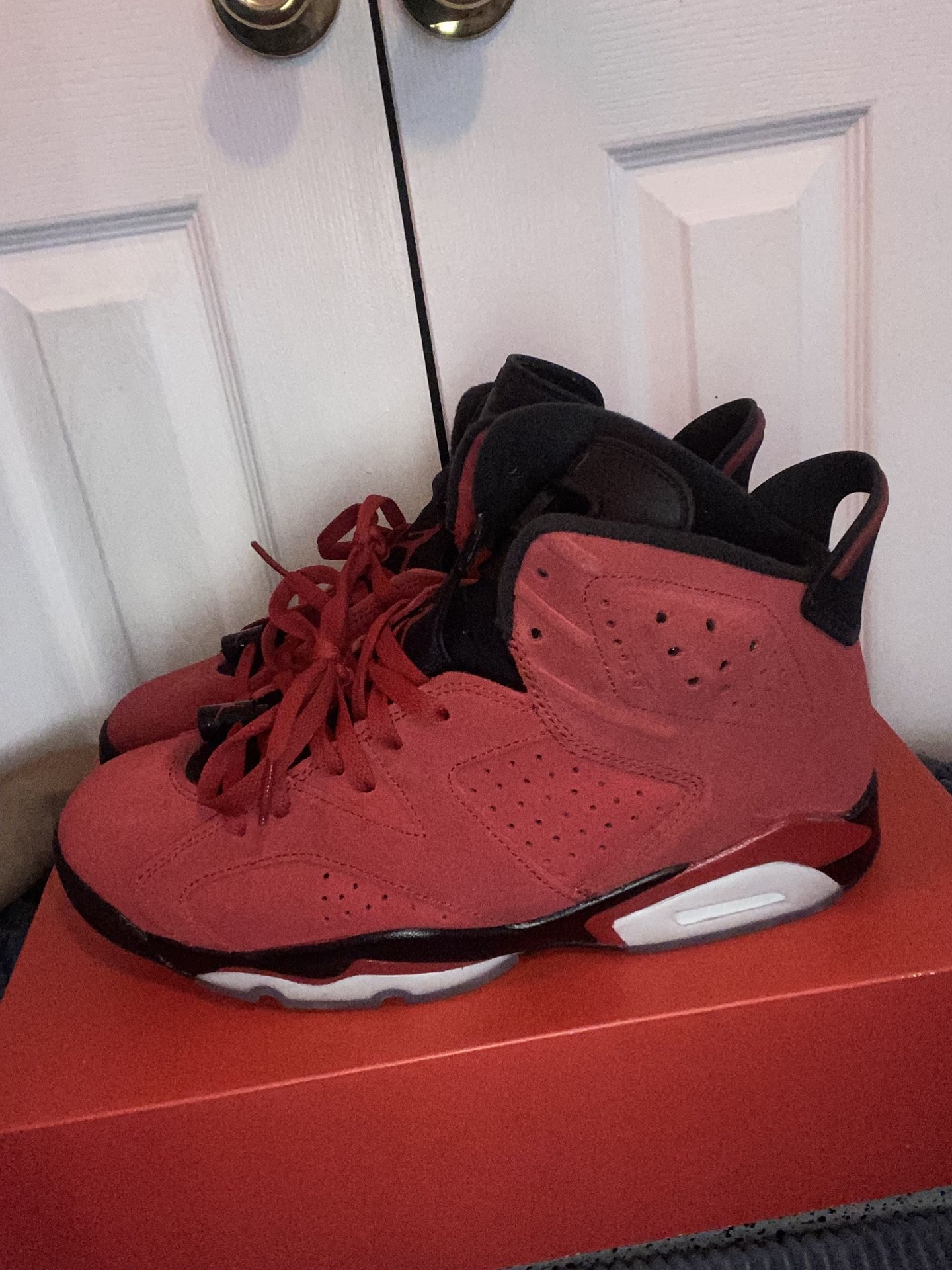 Toro Bravo Air Jordan 6 Size 9 