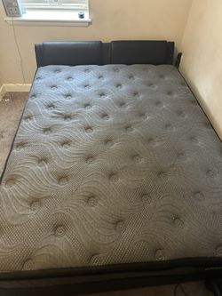 Pillow Top New Queen Matress