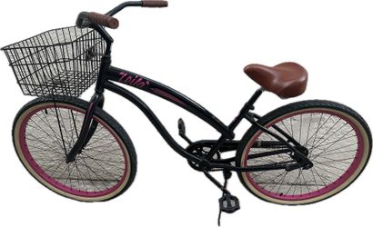 Beach Cruiser