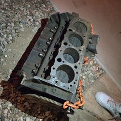 5.0 Gm Small Block 305