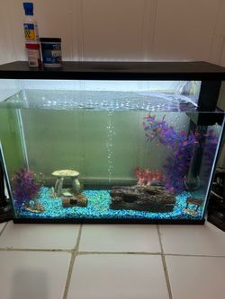 Fish tank