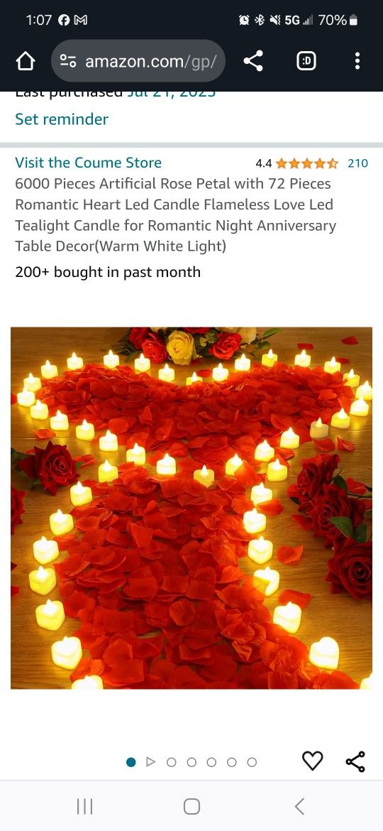 6,000 Petals + About 60 Heart Led