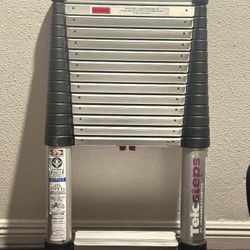 Telesteps 14.5ft Telescoping Extension Ladde